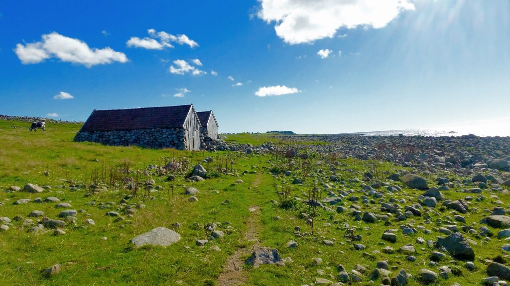 3 lavterskelturer på Jæren – fra strand til sviller
