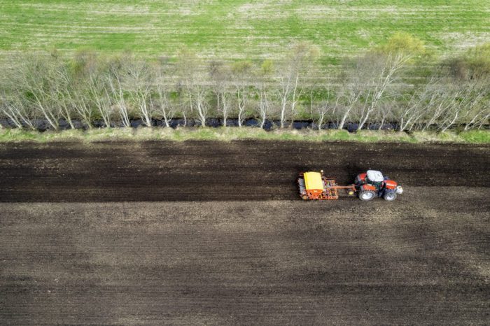 Slik blir jærske havregryn fra Line gard til