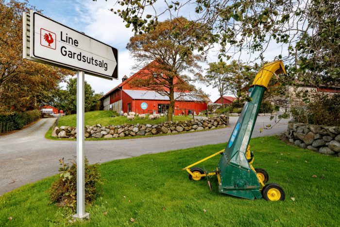 Line Gard på Bryne: gårdsutsalg med egen melk, gryn og egg