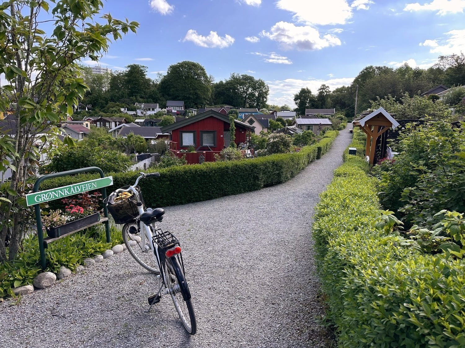Sykkel parkert ved skiltet Grønnkålveien på grusvei mellom hekker og hytter i Ramsvik kolonihage i Stavanger.