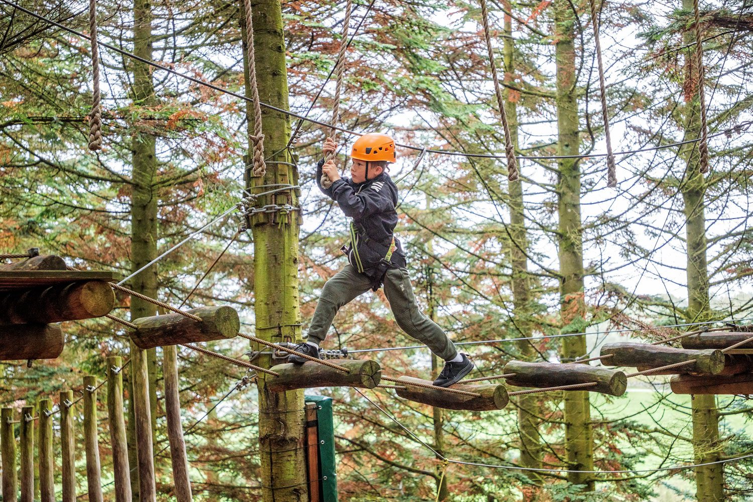 Teambuilding i Sandnes: SkogSprett leier ut hele klatreparken